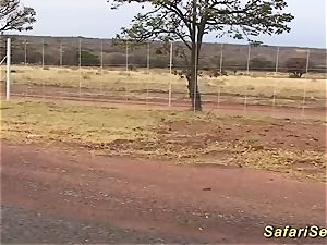super-hot fuck-a-thon at my african safari trip